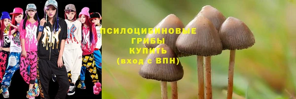 прущие крисы Армянск