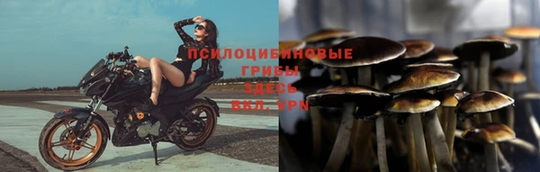 прущие крисы Армянск