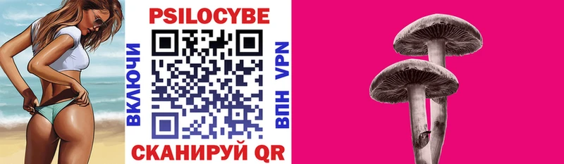 Псилоцибиновые грибы мицелий  Белореченск 